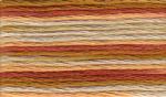 Anchor Mouliné multicolor - Anchor Multicolor