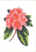 Hortenzia - Via