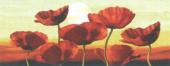 Pipacs - Via
