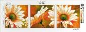 Gerbera sorozat - Via