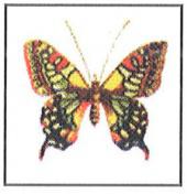 Lepke - Via