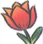 Tulipán - Via