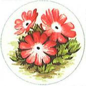 Virág - Via