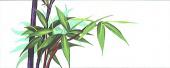 Bambusz - Via