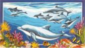 Delfinek - Collection D Art