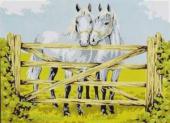 Lovak - Collection D Art