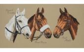 Three Champions - Anchor