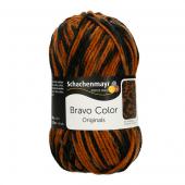 Bravo Color (20) - Bravo Color 