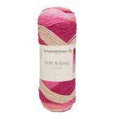 Soft & Easy Color (10) - Soft & Easy Color