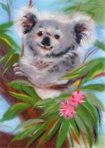 Boldog koala - Woolla gyapjú készletek