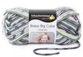 Bravo Big Color (5) - Bravo Big Color 
