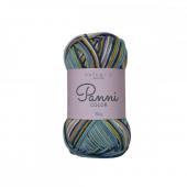 Panni Color 50gr 07 Új (10) - Panni Color 