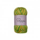 Panni Color 50gr 22 Új (10) - Panni Color 