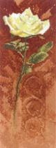 Rose - Heritage