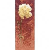 Carnation - Heritage