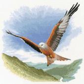 Red Kite In Flight - Heritage