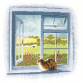 Cottage Window - Heritage