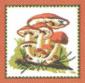 Gomba - Via