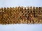 Gumis flitter szalag (arany) - Gumis flitter