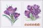 Crocus Keresztszemes KIT - Thea Gouverneur