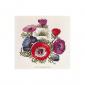 Anemonen gemengs - Thea Gouverneur