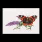 Atalanta - Budlea - Thea Gouverneur