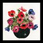 Vaas Anemonen - Thea Gouverneur