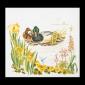 Ducks - Thea Gouverneur