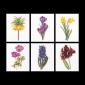 Bloemportretten 3 - Thea Gouverneur