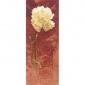 Carnation - Heritage