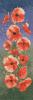 Poppy Panel - Heritage