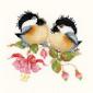 Fuchsia Chick-chat - Heritage