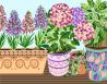 Fower Pots - Royal Paris