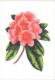 Hortenzia - Via