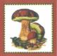 Gomba - Via