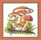 Gomba - Via