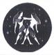 Ikrek 05.22-06.21 árny - Via