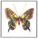Lepke - Via