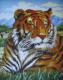 Tigris - Collection D Art