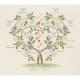 My Family Tree - Anchor
