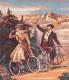 Bicycle - Royal Paris