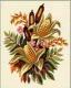 Őszi csokor - Via