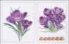 Crocus Keresztszemes KIT - Thea Gouverneur