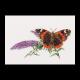 Atalanta - Budlea - Thea Gouverneur