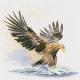 Eagle In Flight - Heritage